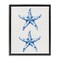 Stupell Industries Vintage Toile Starfish Floating Frame, design by Lettered and Lined